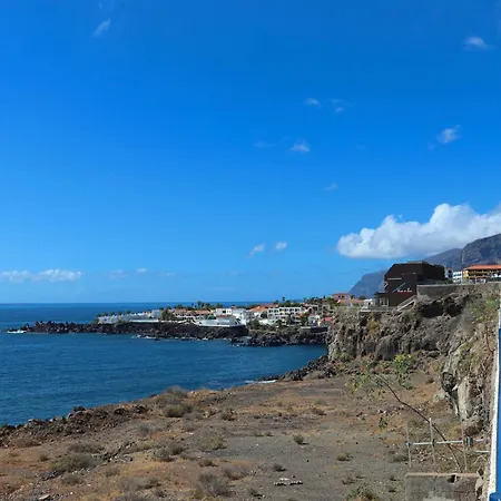 Sunflower Just Relax