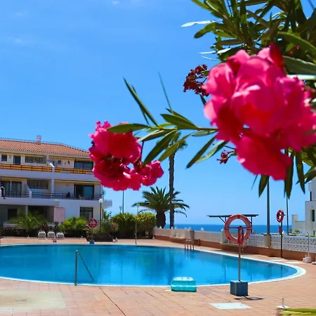 Sunflower Just Relax *