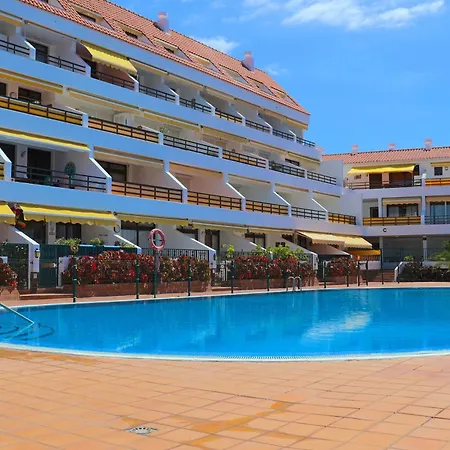 Sunflower Just Relax