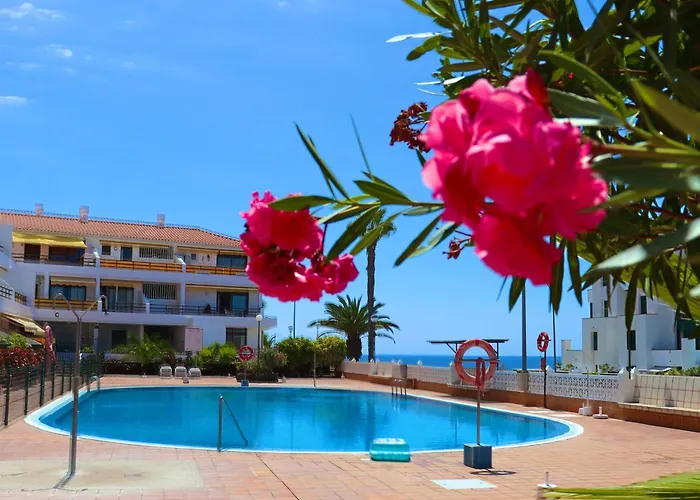 Sunflower Just Relax *